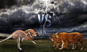 Australia The Kangaroos vs India The Blue Tigers: MCG Showdown 2025 Prediction